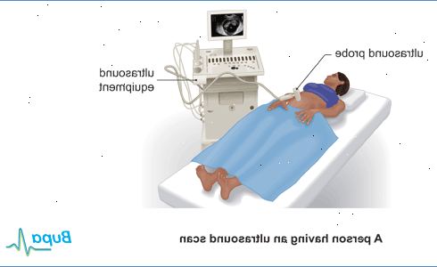 Ultraschalluntersuchungen während der Schwangerschaft. Was ist eine Ultraschalluntersuchung?
